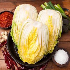 갤러리아_속이 꽉 찬 해남 절임배추 20kg / 12월 06일(토) 도착