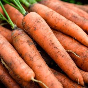 [오늘의채소] 국내산 흙당근 2kg (중사이즈)