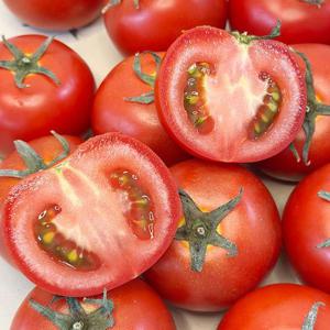 완숙토마토 주스용 3kg 못난이