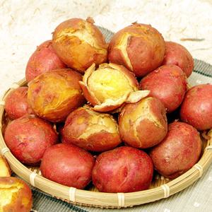 [푸르젠 감자] 24년 홍감자(빨간감자) 10kg (특)