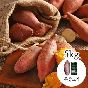 [감동 고구마] 세척 꿀고구마 5kg 특상크기