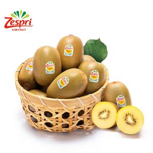 썬골드키위 점보 사이즈(146g이상) 8개 1.2kg