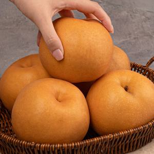 시원한 과즙 신고 배 3kg 5~6과