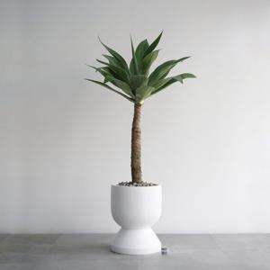 아가베 아테누아타 MW-2 무광 화이트 대형 화분 고급인테리어 대형식물