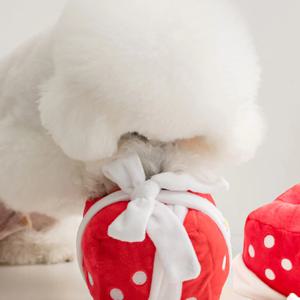 선물상자 노즈워크 장난감