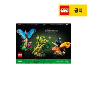 아이디어 21342 곤충 컬렉션