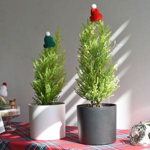 율마 포트볼 크리스마스 식재 화분 생화트리 오너먼트 전구세트