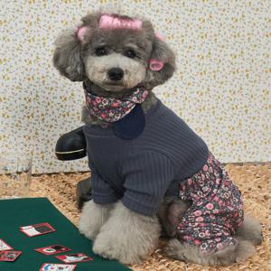 강아지옷 김장조끼 스카프 올인원 전원일기 몸빼 세트 꽃남색 (B086_NA)