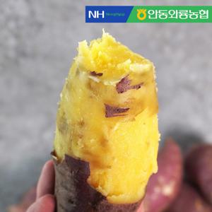 안동와룡농협 믿고 먹는 꿀밤고구마 (중상품) 5kg