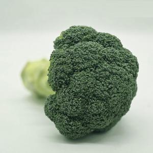 국내산 브로콜리 1kg
