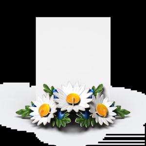 Daisy bouquet / Realistic 종이꽃 데이지 편지 부케 (리얼리틱스)