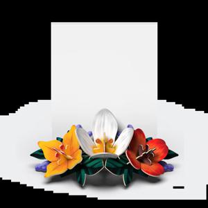 Mixed flower bouquet / Realistic 종이꽃 편지 부케 (리얼리틱스)