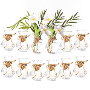 TEMU 12개 스타일 5.75