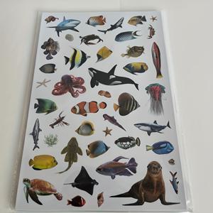 TEMU 820개 해양 동물 선물 세트, 바다 생물 스티커 장식 물병 및 스크랩북 캘린더 플래너용 생일 파티 용품