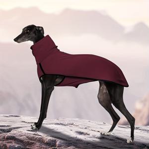 TEMU 새로운 스타일의 솔리드 컬러 애완동물 의류. 강아지용 따뜻한 하이넥 디자인, 레드, 그린, 블루 색상으로 제공됩니다.