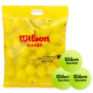 윌슨 트레이너볼 연습구 테니스공 60개입 초보자