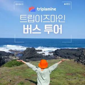 제주 동부 버스투어 트립이즈마인