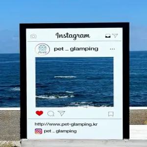 [경북] 풀글램핑&펫글램핑(경북, 포항)