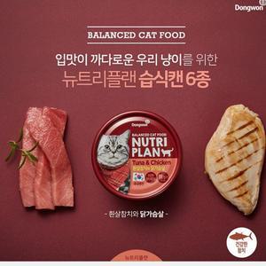 동원 뉴트리플랜 고양이캔 흰살참치와 캣 닭가슴살 비타민 습식간식
