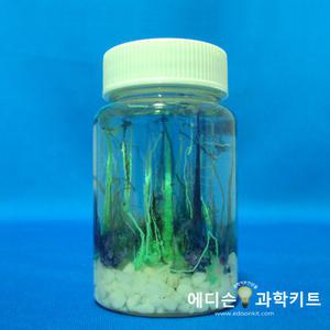 과학교구 화학정원만들기 6인용