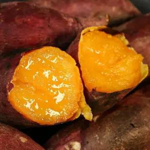 [맛꾼] 신품종 황토밭 당근고구마 호풍미고구마 5kg 특대