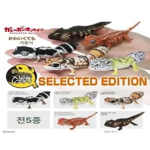 조이앨빈 도마뱀피규어 크레스티드 게코 도마뱀 관절