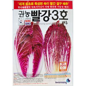 빨강배추3호 100립 권농 25년 김장씨앗 배추씨앗