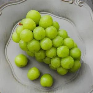 에어포장 고당도 샤인머스켓 2kg (2-3수)