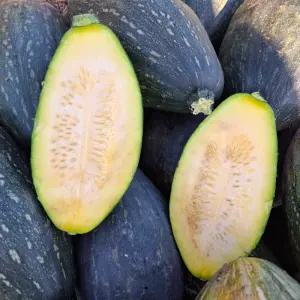 만차랑단호박 4kg 내외 (2-3개 내외) 럭비공단호박 왕중의왕 고당도 국내산 전남 담양군