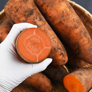 아삭아삭 제주 구좌 당근 2kg/3kg/5kg