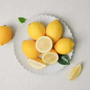 칠레산 정품 펜시레몬 4kg내외(40과)