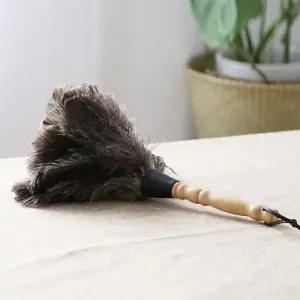 타조 먼지털이개/먼지털이/극세사/먼지/제거기/먼지털이게/고양이털/거미줄/먼지떨이/방충망/청소솔/틈새