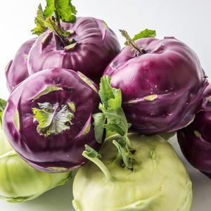 제주 콜라비 특품 보라색 무 무우 2~10kg