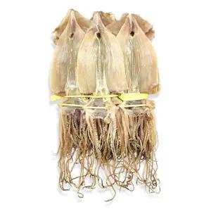 건오징어 마른오징어쫄쫄이 1축 20미