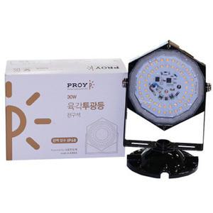 대도엘이디 LED 육각투광등 검정색 30W