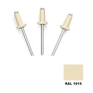 강철 블라인드 32 50PCS 페인트 산업용 리벳 RAL1015 돔형 라이트 패스너 직경 알루미늄 아이보리