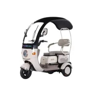 소형 전동카트 전동 스쿠터 전기 세발자전거 전기차 골프카 다용도 노인 여성용 삼륜 천장형