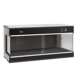 파충류 육지거북이 포맥스사육장 레오파드 자온조 화이트탭