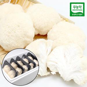 국내산 무농약 100% 생 노루궁뎅이버섯 1kg