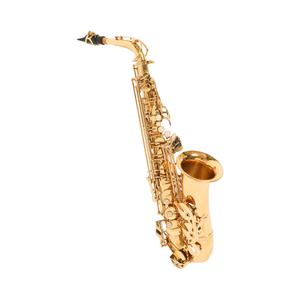 헬마 알토색소폰 고품질 부드러운 음색 색소폰 연습용 입문용 전문가용 악기 전문점