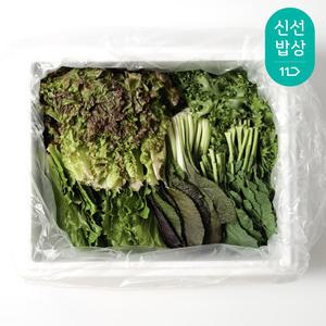 유기농 모듬 쌈채소 1kg 샐러드 GAP 저탄소인증 당일수확