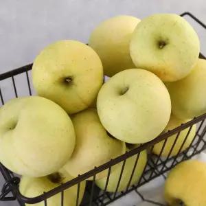 [다농이네][신품종] 황옥 사과 5kg 가정용 흠과 (랜덤과)