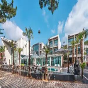 [전남] 완도 욜로 펜션(전남, 완도)