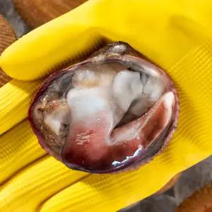 [대한민국농수산] 국내산 특품 제철 손질 새조개 500g/200g