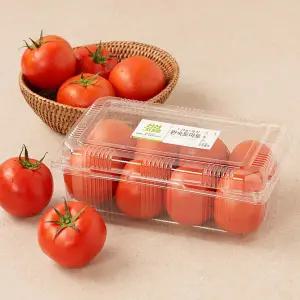 완숙 토마토 1.2kg 팩