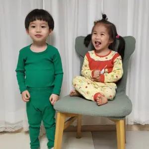 식탁의자천 덮개 의자 씌우개 리폼 천 등커버_민트그린