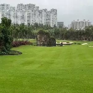 [항공팩]하이난[해구] 골프 6일 #다색골프 #72홀 #삼공리/서해안/미션힐스CC #북코스 #5성급호텔 #캐디피+카트피 포함 #2인예약가능