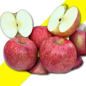 밀양 얼음골사과 5KG 정품 꼬마과 22~24과 내외