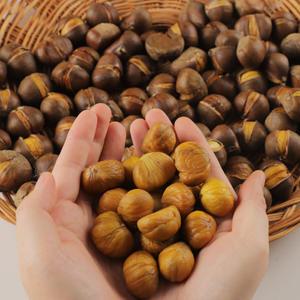 햇 명품 캠핑용 생율 군밤 칼집밤 약단밤 500g 1kg