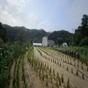 [경기 펜션] 광주 펜션&남한산성아트홀펜션 (하남,광주(퇴촌,곤지암))